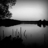 /album/the-gamer-10-/photolia-b01-jpg/